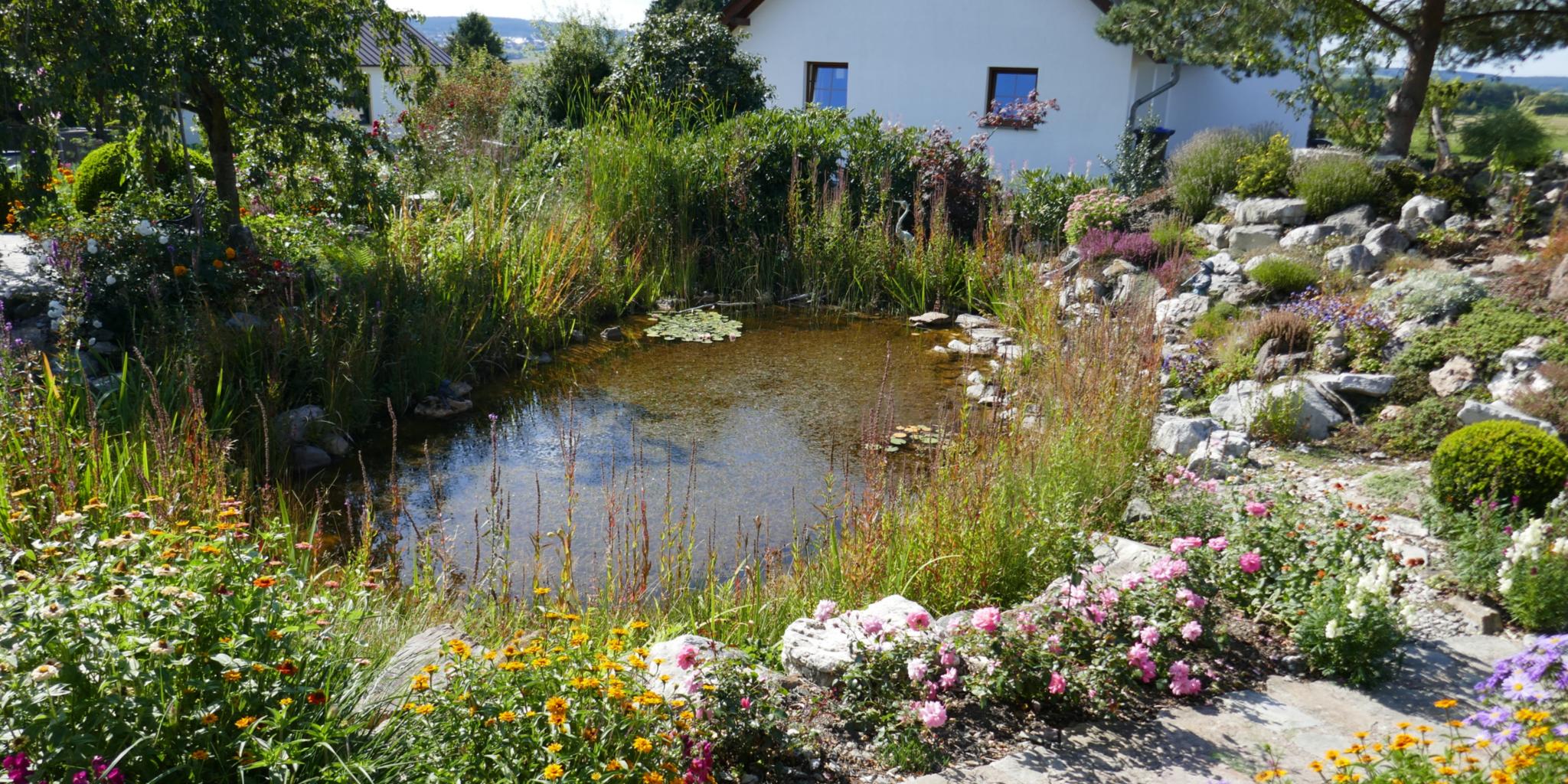Der Garten von Monika und Hans-Joachim Schütz in Lückenburg strahlt dank der wohlüberlegten Kombination von Wasserflächen, Taunusquarzit und einer großen Pflanzenvielfalt eine große Ruhe auf den Betrachter aus.