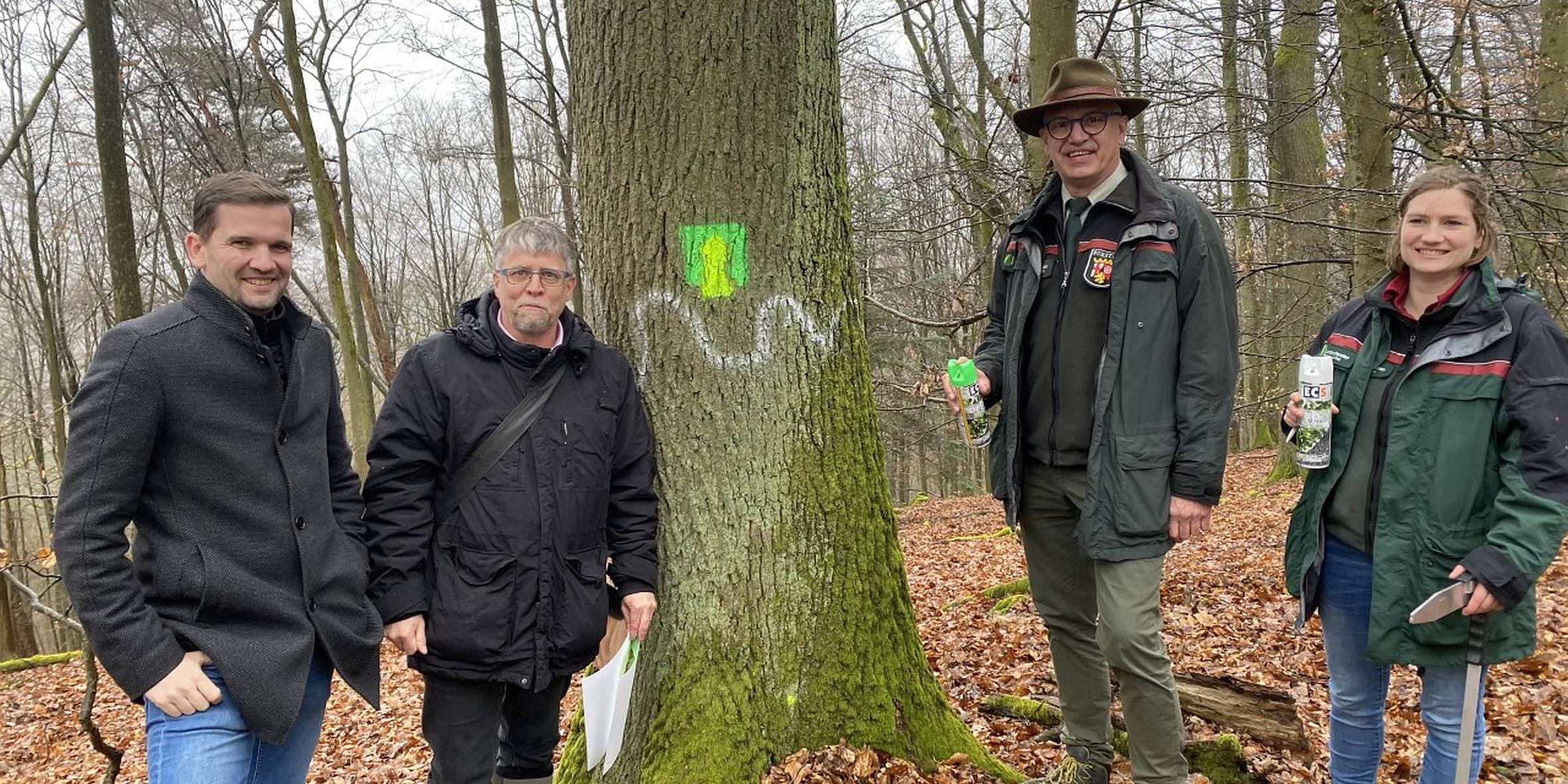 Bei der Zwischenbilanz des Projekts am Kockelsberg (von links): Tobias Reiland, Andreas Wagner, Gundolf Bartmann und  Regionalförsterin Alena Wehr.