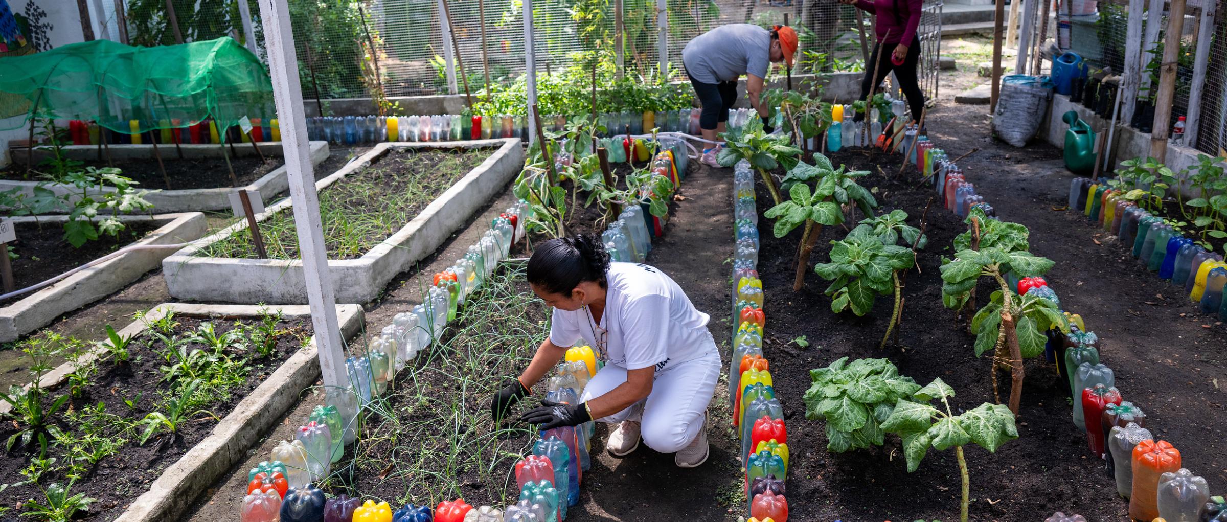 Zwei Frauen arbeiten im Kräuter- und Gemüsegarten