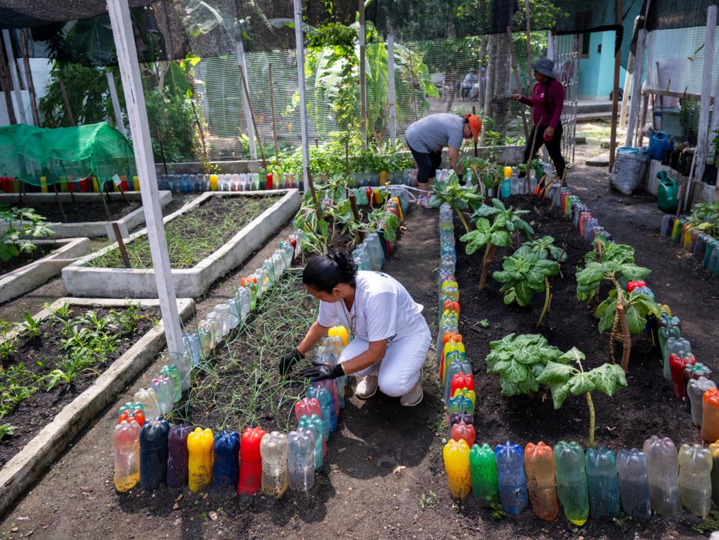 Zwei Frauen arbeiten im Kräuter- und Gemüsegarten