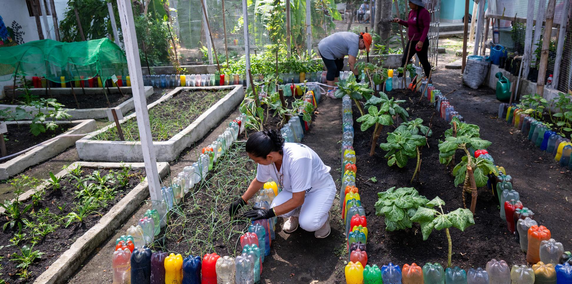 Zwei Frauen arbeiten im Kräuter- und Gemüsegarten