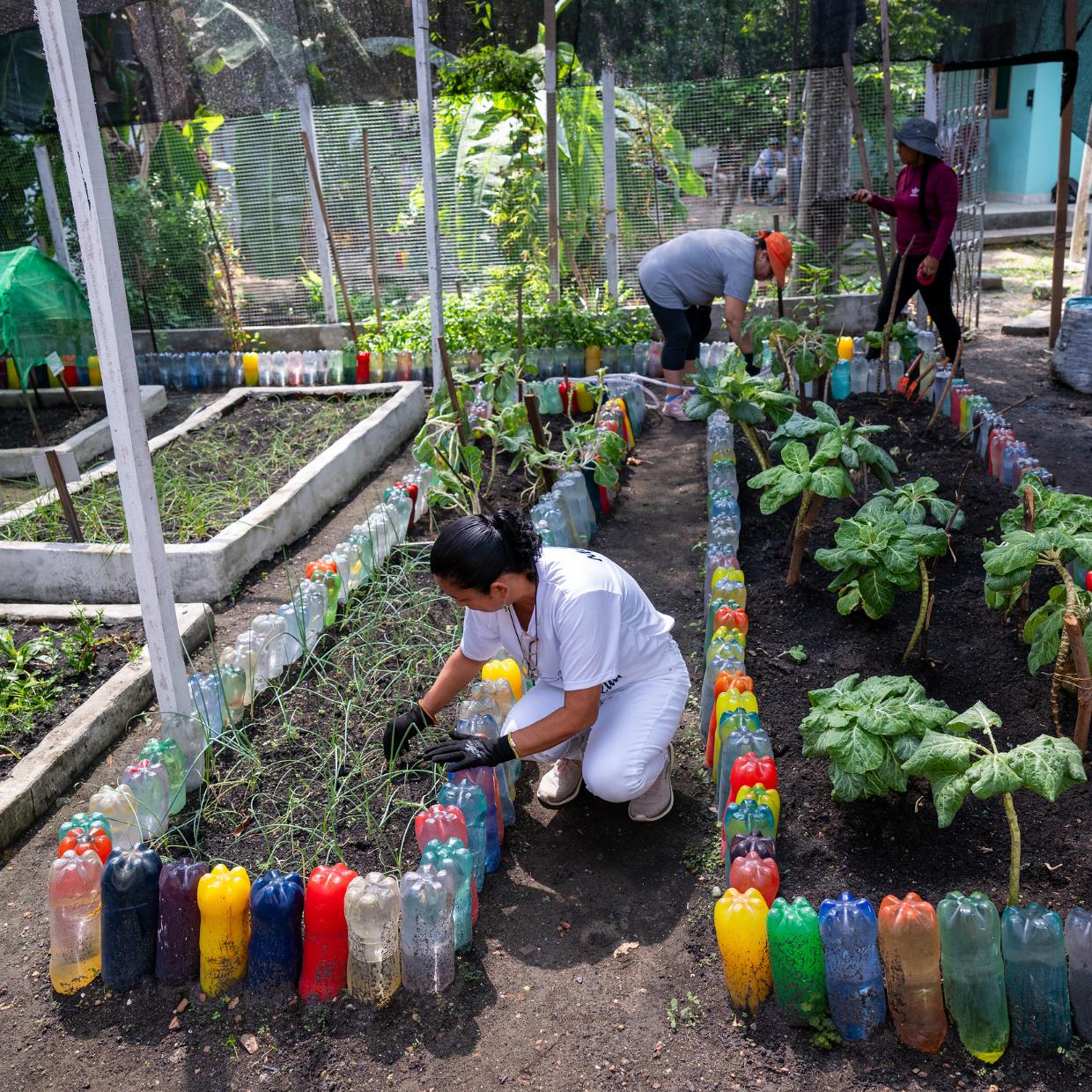 Zwei Frauen arbeiten im Kräuter- und Gemüsegarten