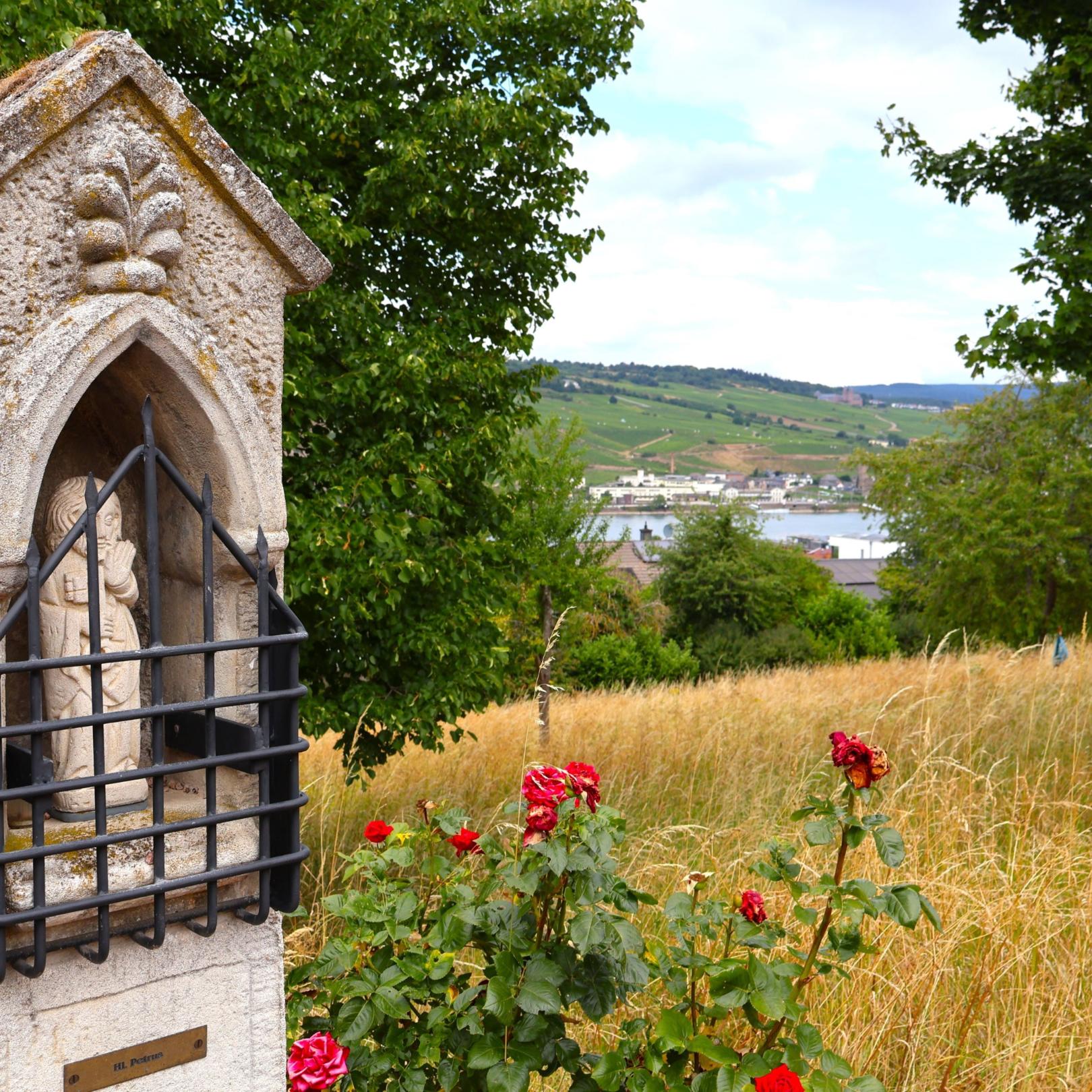 Blick vom Hildegard-Pilgerweg auf den Rhein