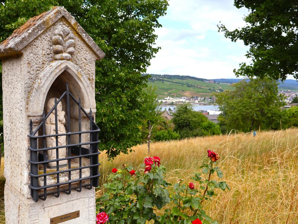 Blick vom Hildegard-Pilgerweg auf den Rhein