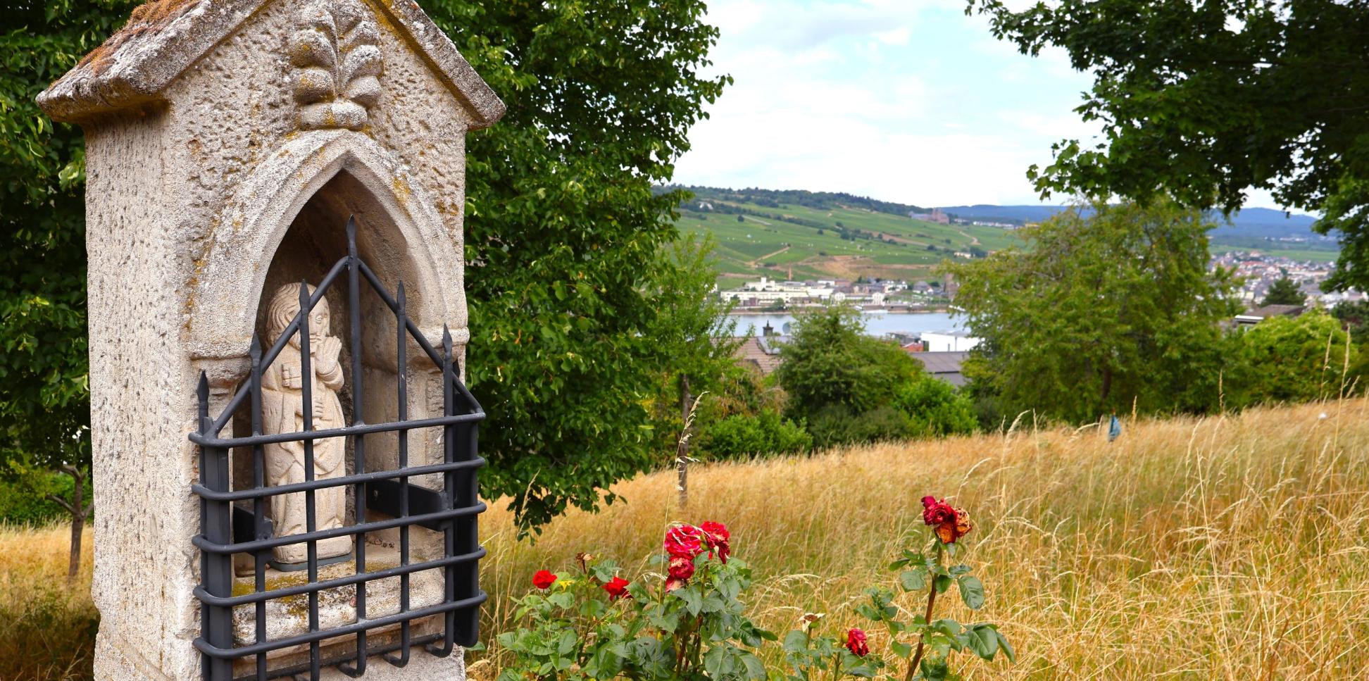 Blick vom Hildegard-Pilgerweg auf den Rhein