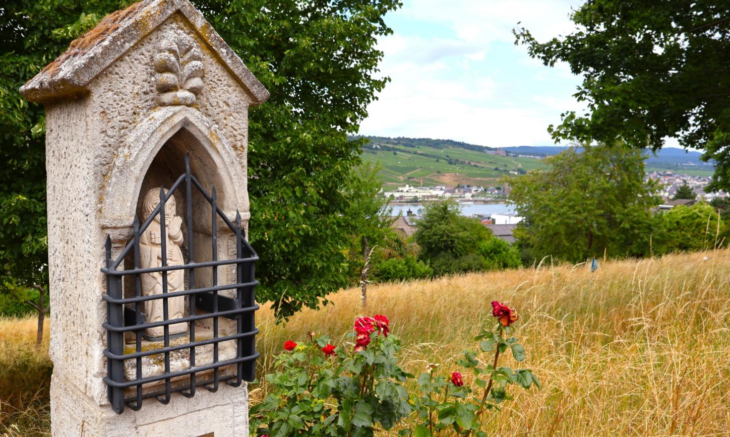 Blick vom Hildegard-Pilgerweg auf den Rhein