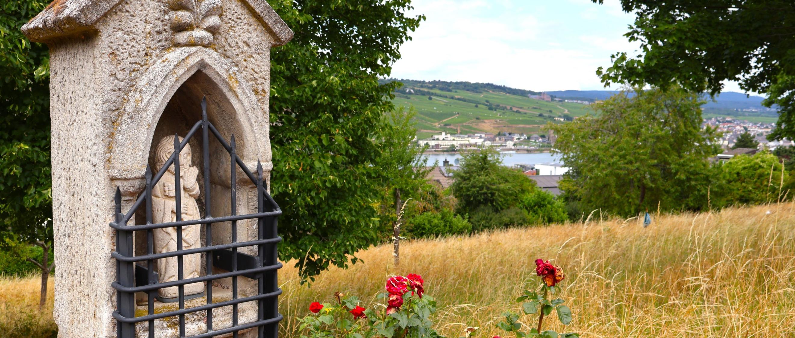 Blick vom Hildegard-Pilgerweg auf den Rhein
