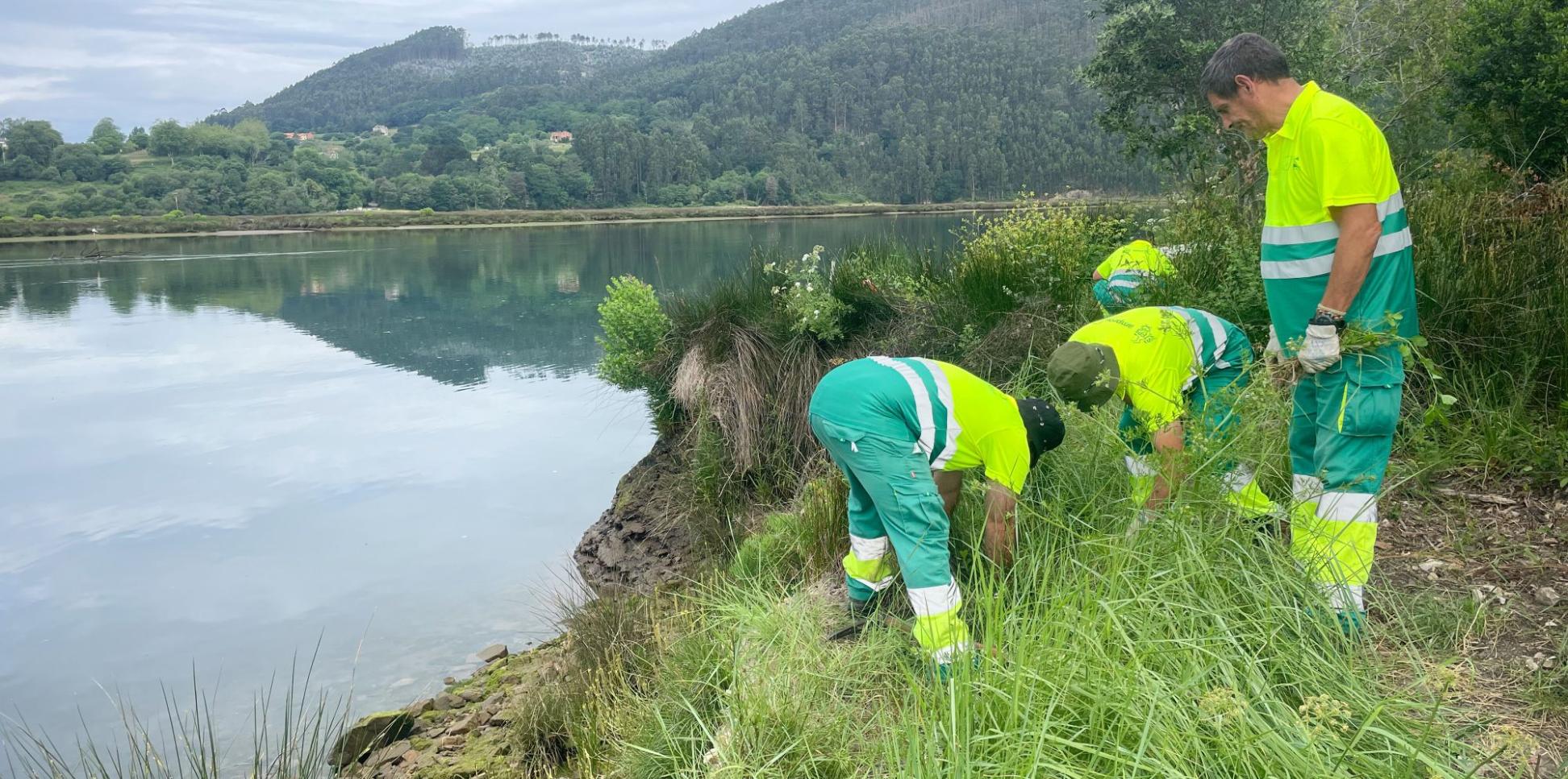 Männer in Arbeitskleidung arbeiten an einem See