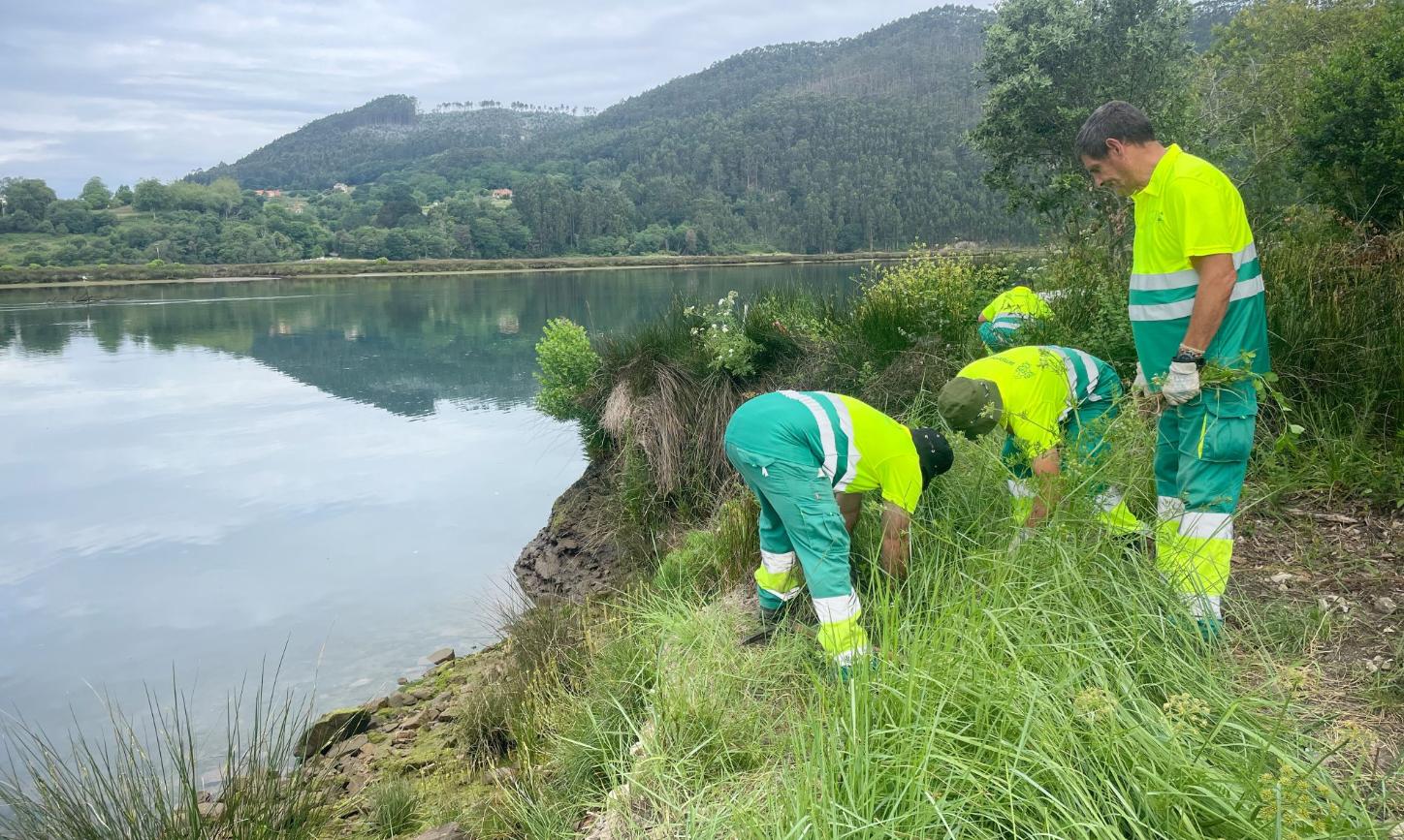Männer in Arbeitskleidung arbeiten an einem See
