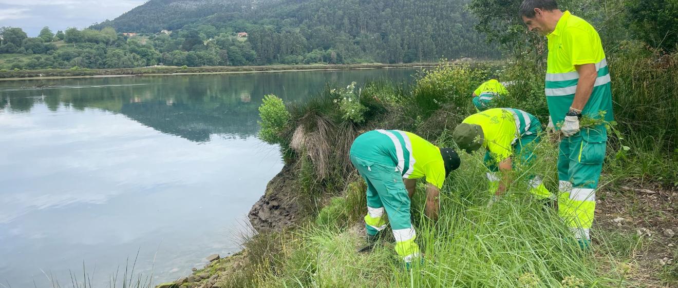 Männer in Arbeitskleidung arbeiten an einem See