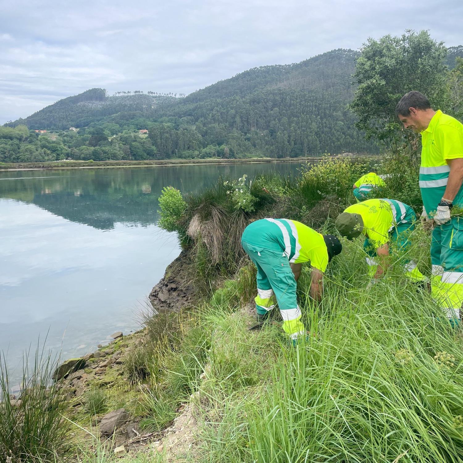 Männer in Arbeitskleidung arbeiten an einem See