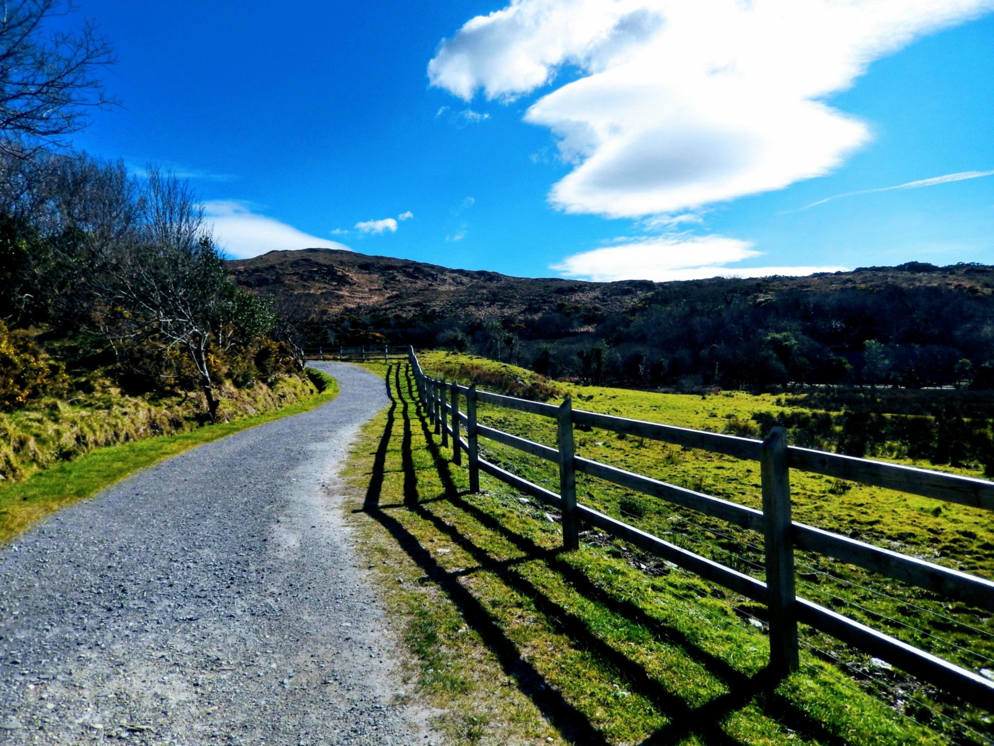 Granitfel-sen, Moorlandschaft, Seen, Steinwälle, kleine Farmen, Dörfer und Schafherden bestimmen das Bild der Gegend um Connemara. (c) Veranstalter Granitfel-sen, Moorlandschaft, Seen, Steinwälle, kleine Farmen, Dörfer und Schafherden bestimmen das Bild der Gegend um Connemara.