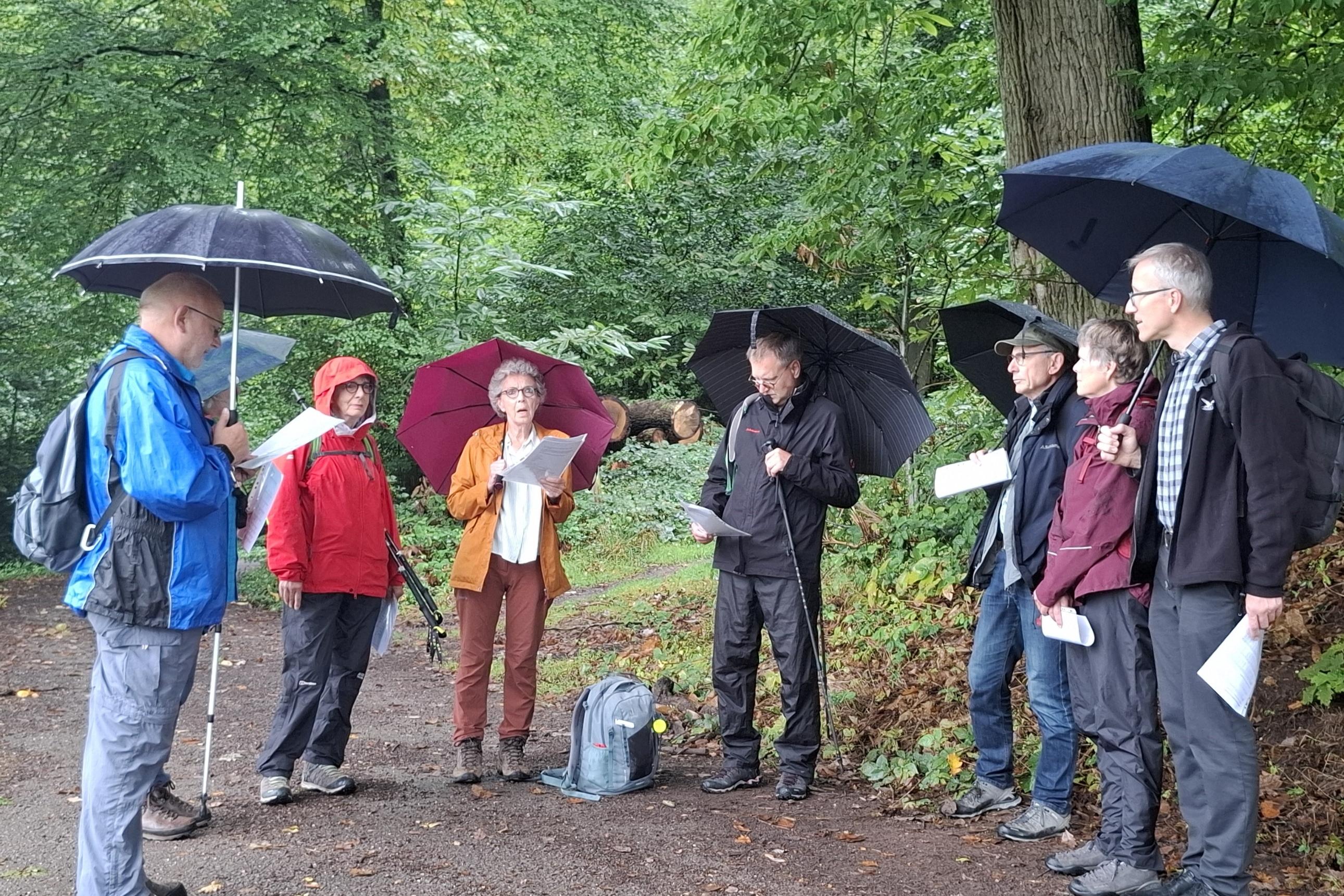 Gruppe mit Regenschirmen und Textblättern beim Impuls im Wald.