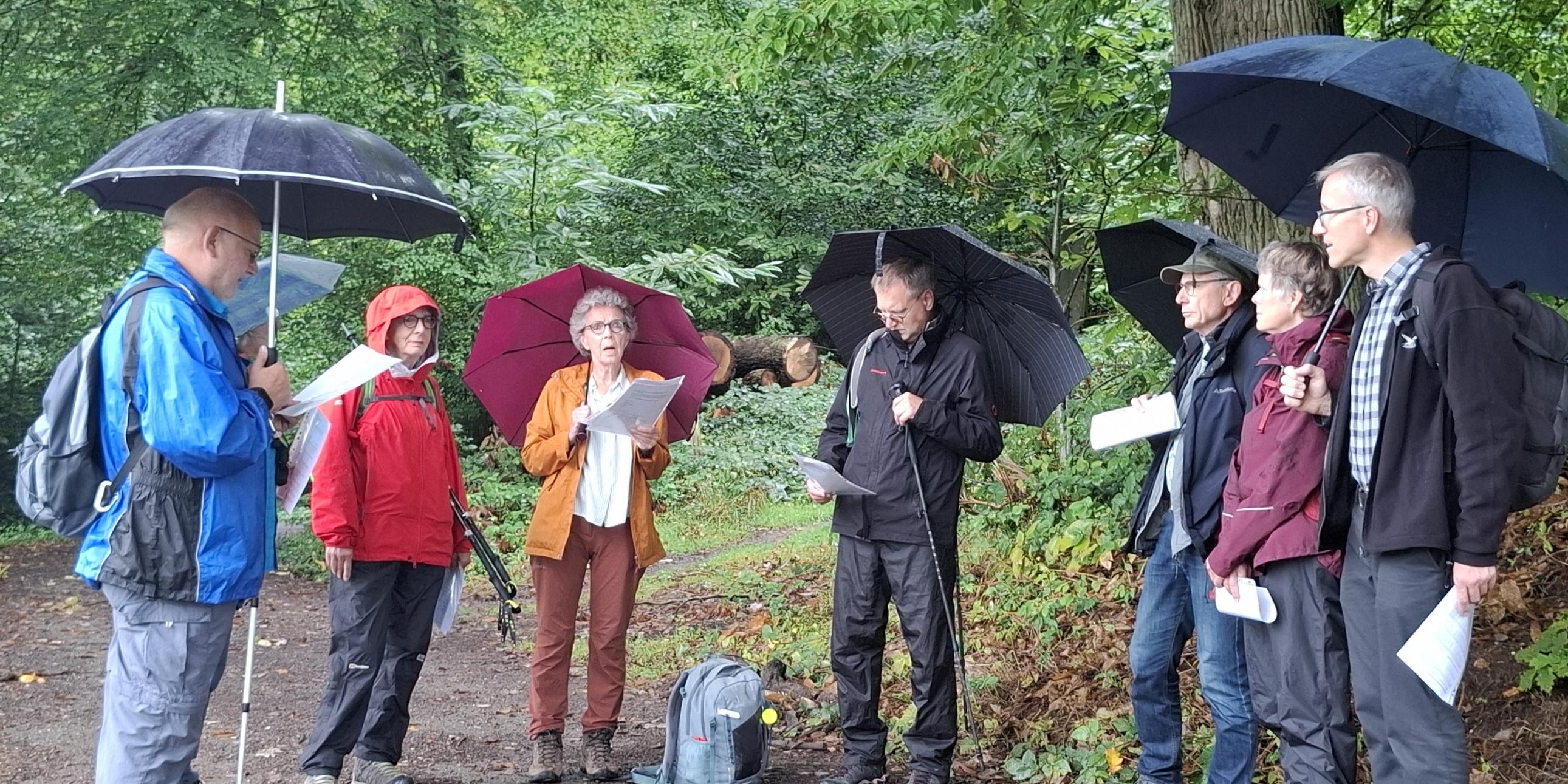 Gruppe mit Regenschirmen und Textblättern beim Impuls im Wald. (c) Gaby Jacquemoth Gruppe mit Regenschirmen und Textblättern beim Impuls im Wald.