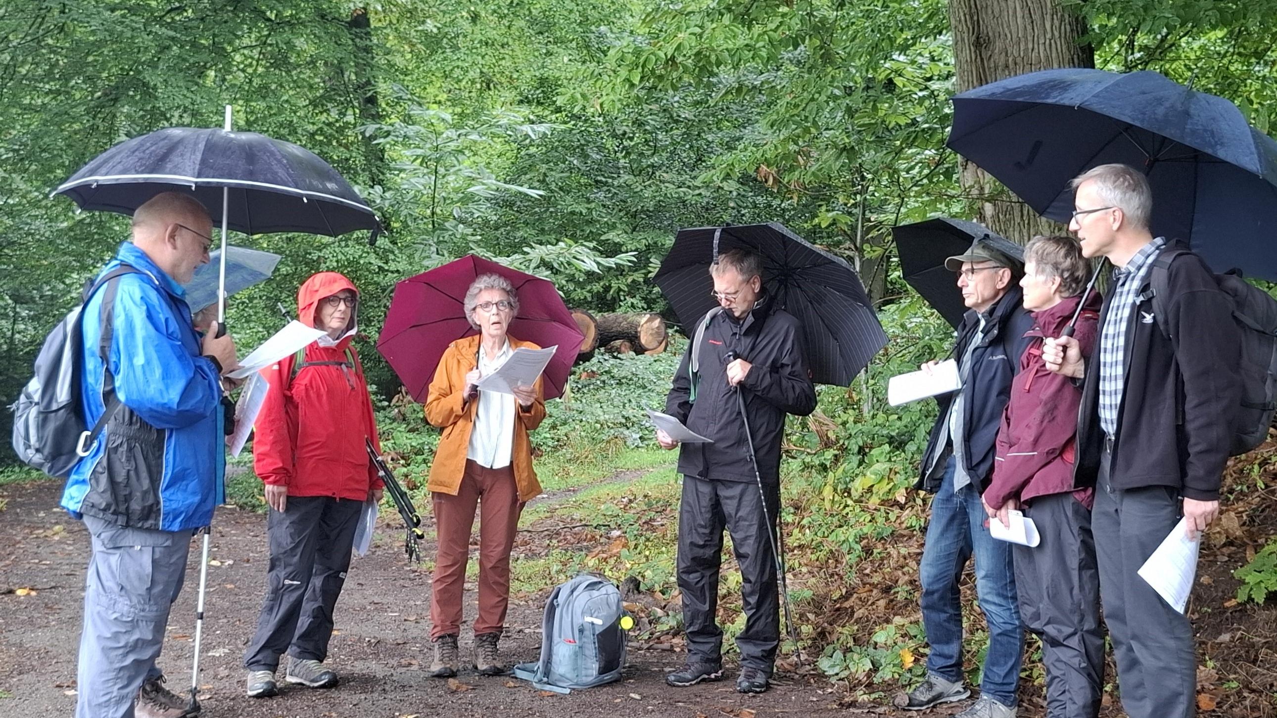 Gruppe mit Regenschirmen und Textblättern beim Impuls im Wald.