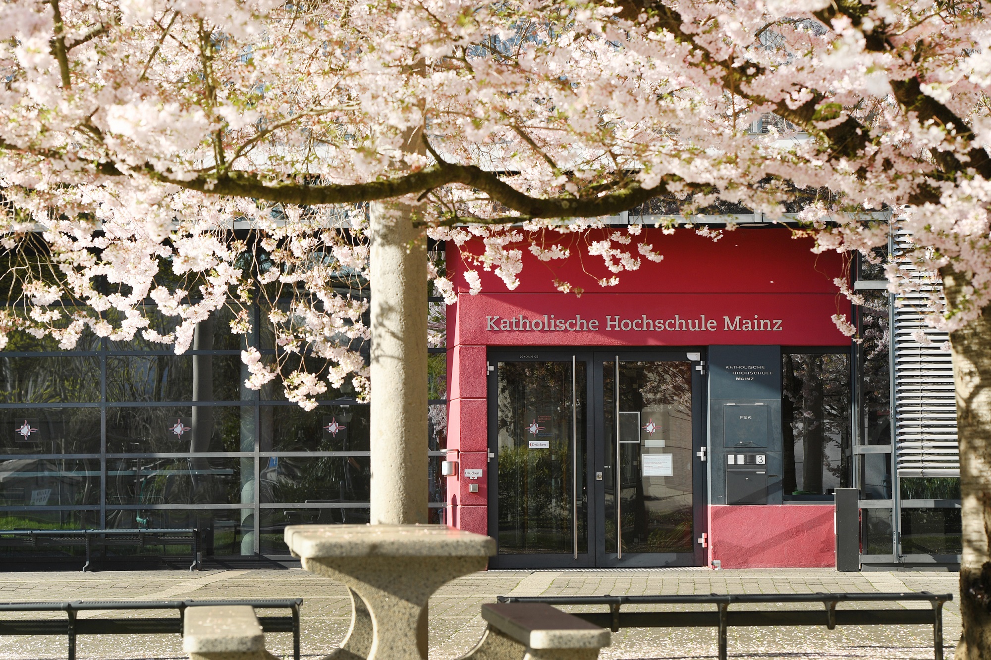 KH Mainz Gebäude III