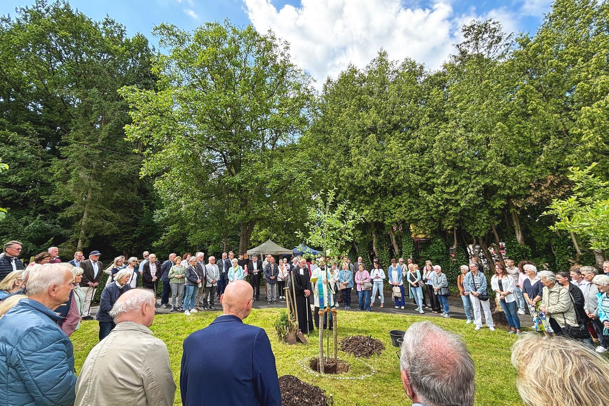 Nach dem Gottesdienst wurden auf dem ehemaligen Klostergelände ein Baum gepflanzt und gesegnet  sowie symbolisch kleine Grundsteine für den Hospiz-Neubau gelegt.