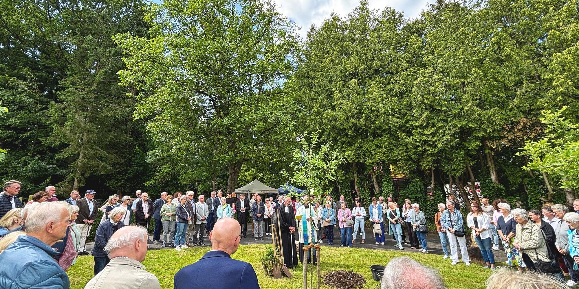 Nach dem Gottesdienst wurden auf dem ehemaligen Klostergelände ein Baum gepflanzt und gesegnet sowie symbolisch kleine Grundsteine für den Hospiz-Neubau gelegt. (c) Diakonie Südwestfalen Nach dem Gottesdienst wurden auf dem ehemaligen Klostergelände ein Baum gepflanzt und gesegnet sowie symbolisch kleine Grundsteine für den Hospiz-Neubau gelegt.