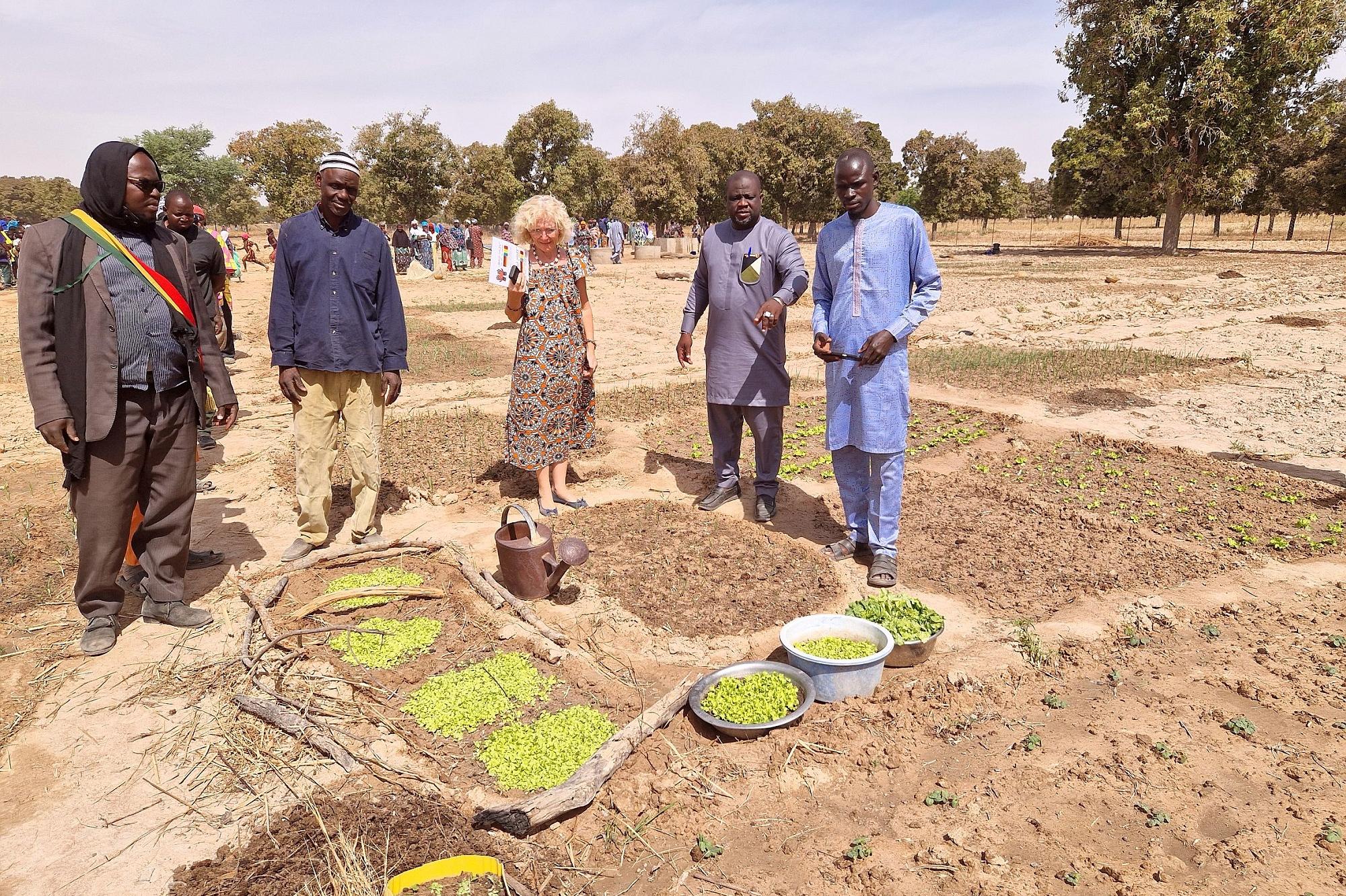 Einweihung des neu angelegten Schulgartens in Mali.