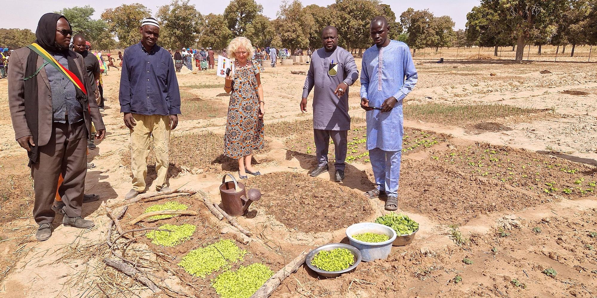 Einweihung des neu angelegten Schulgartens in Mali. (c) privat Einweihung des neu angelegten Schulgartens in Mali.