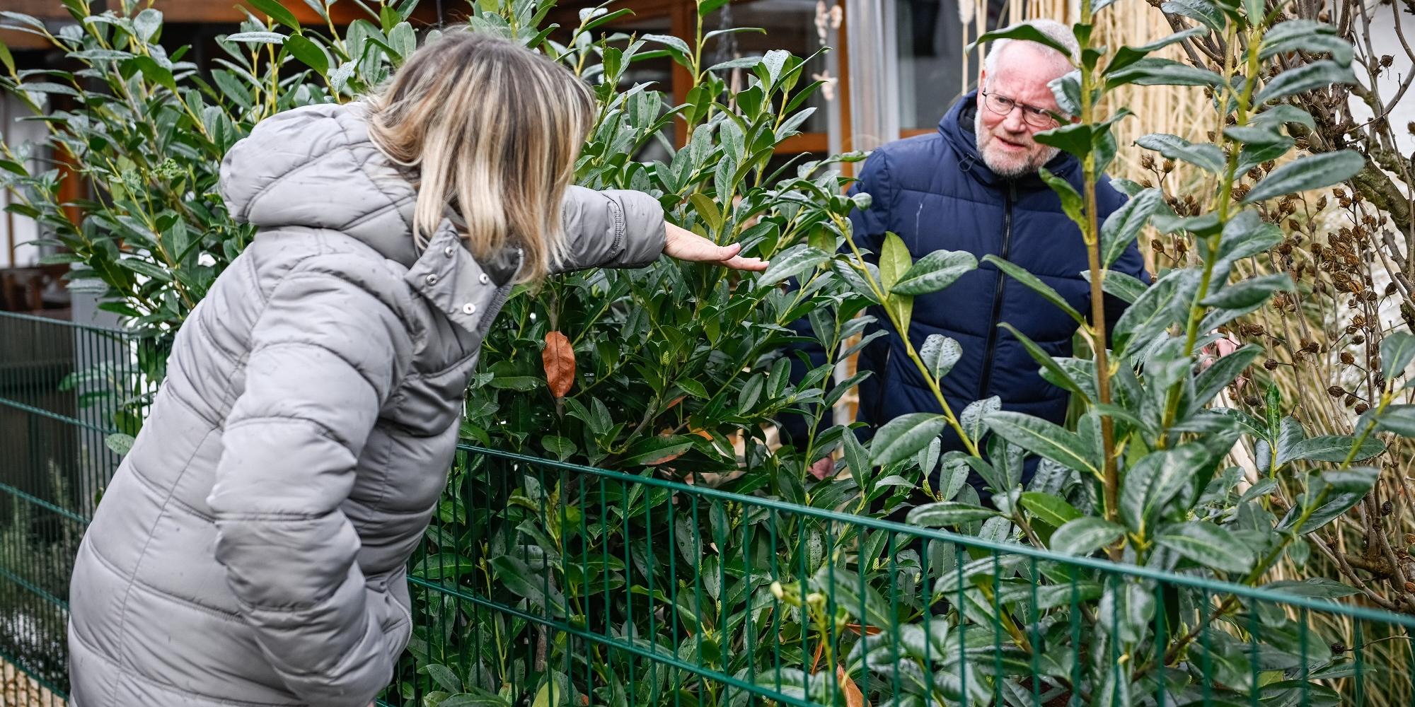 Eine Frau zeigt am Gartenzaun einem Mann auf der anderen Seite die Höhe des Pflanzenbewuchses an. (c) Julia Steinbrecht/KNA Eine Frau zeigt am Gartenzaun einem Mann auf der anderen Seite die Höhe des Pflanzenbewuchses an.