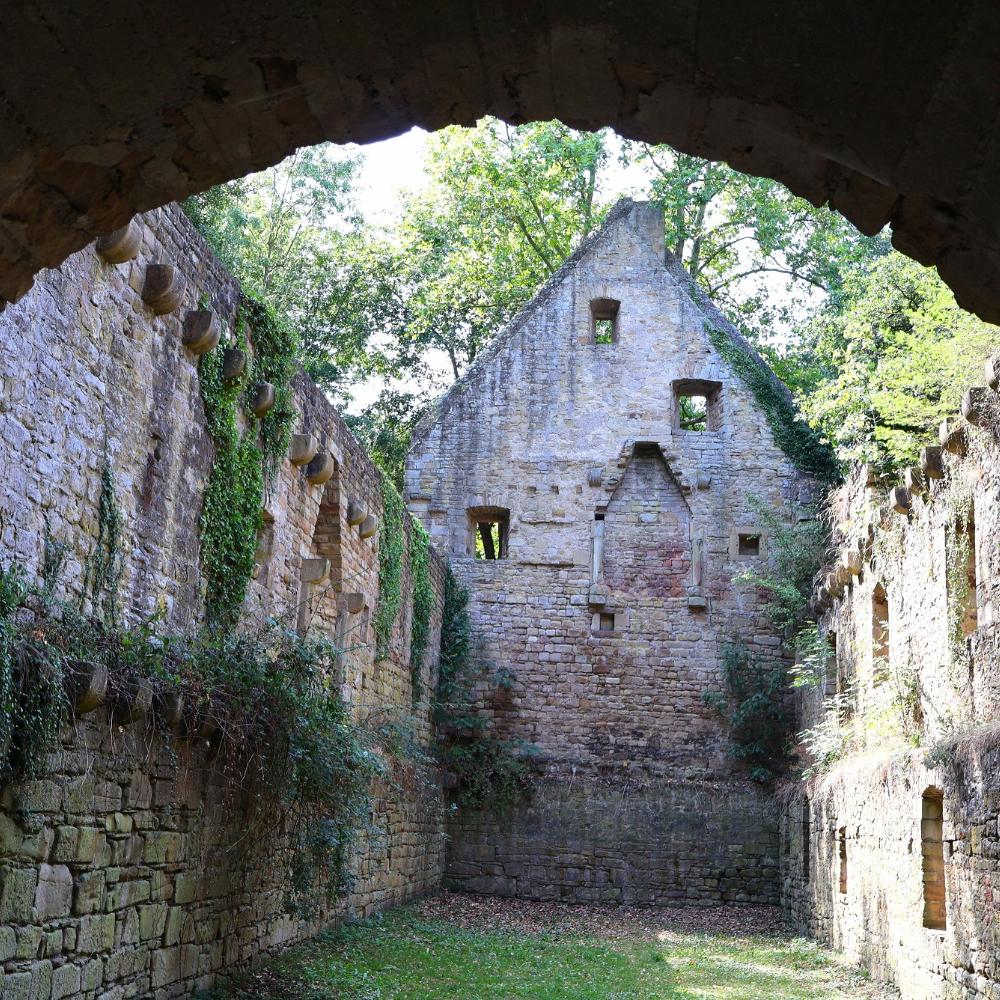 Blick durch einen Torbogen in die Klosterruine des Disibodenbergs.