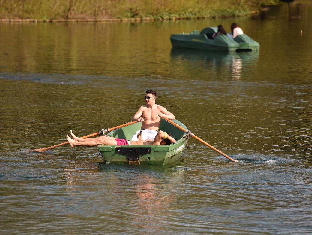 Zwei Männer fahren mit einem Ruderboot auf einem See im Park Rheinaue in Bonn.
