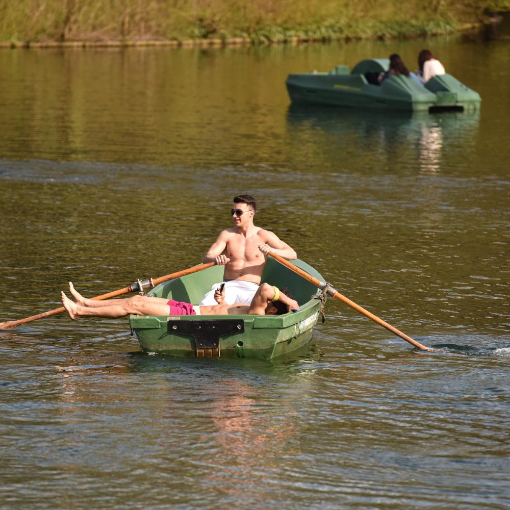 Zwei Männer fahren mit einem Ruderboot auf einem See im Park Rheinaue in Bonn.