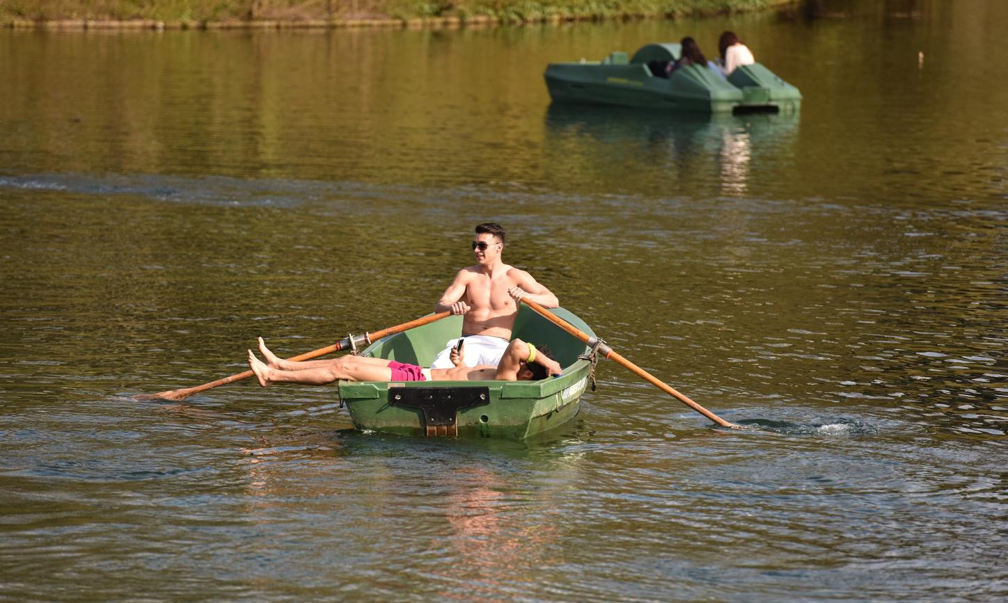 Zwei Männer fahren mit einem Ruderboot auf einem See im Park Rheinaue in Bonn.