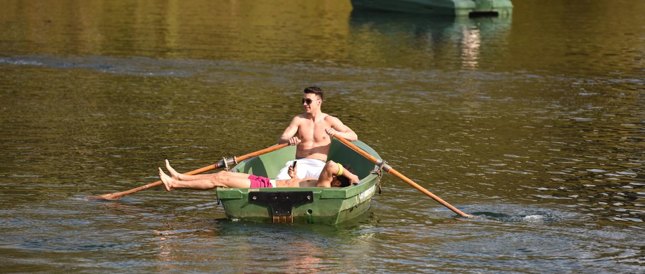 Zwei Männer fahren mit einem Ruderboot auf einem See im Park Rheinaue in Bonn.