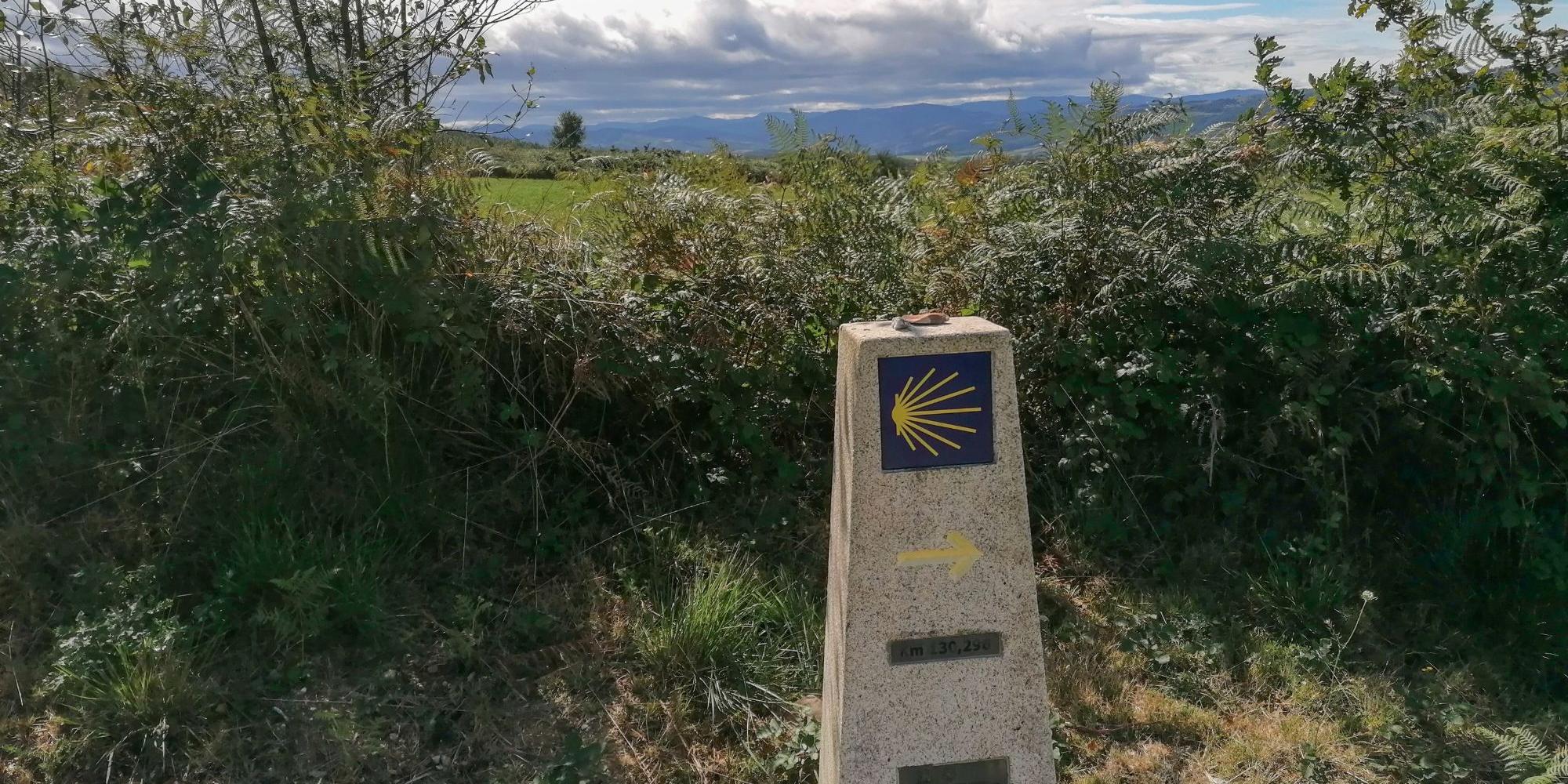 Wegmarkierung mit der Jakobsmuschel am Rande des Jakobswegs „Camino Primitivo“ in Spanien.