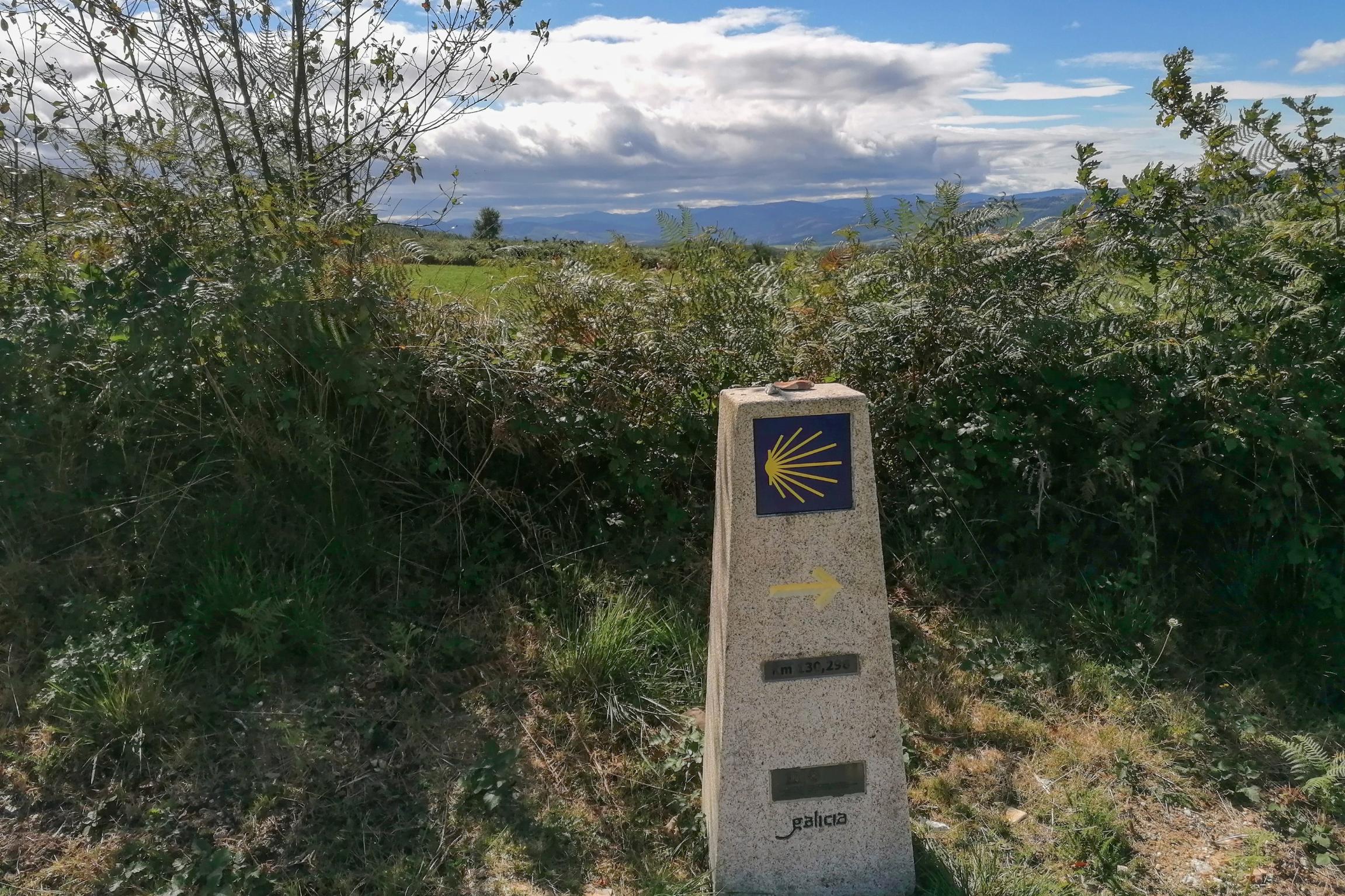 Wegmarkierung mit der Jakobsmuschel am Rande des Jakobswegs „Camino Primitivo“ in Spanien.