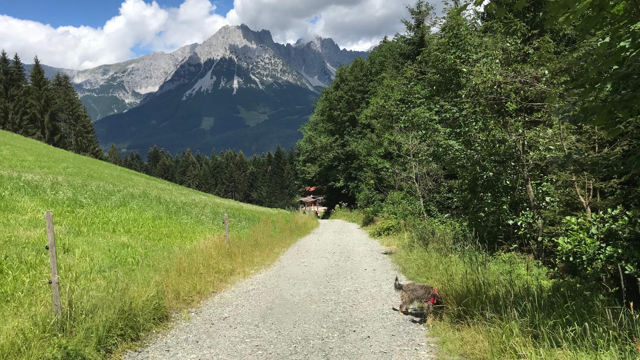 Die Natur kann Lehrmeisterin sein